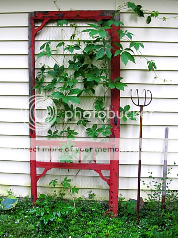 garden recycled using door screen salvaged materials upcycled trellis charming serves designs photobucket dishfunctional volume wood